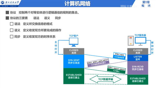 计算机信息网络的设计 从概述到体系结构解析